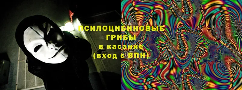 darknet формула  Кувшиново  Галлюциногенные грибы MAGIC MUSHROOMS 